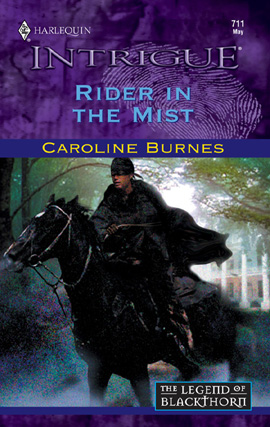 Cover image for Rider in the Mist